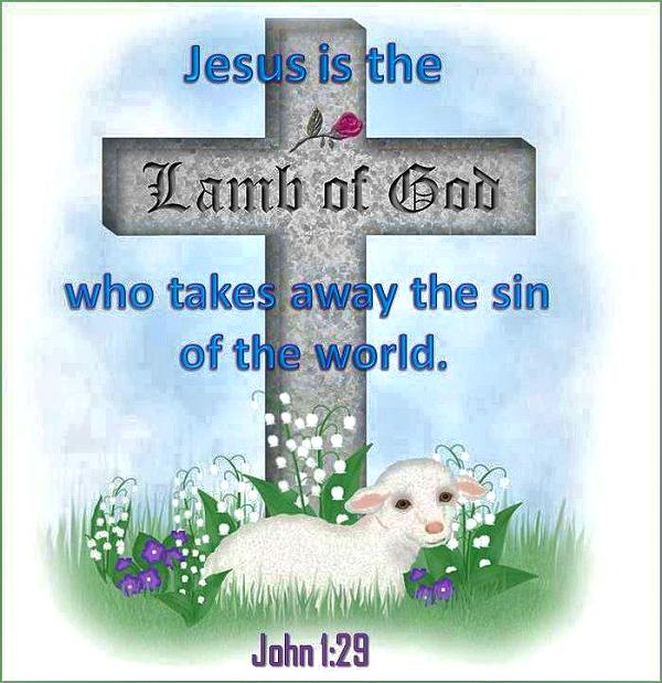 Lamb of God docu